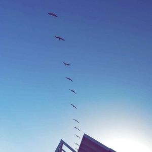 Meet your Posher, Mykaela